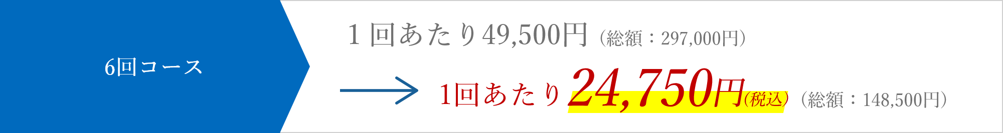 都度払い1回