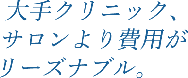 大手クリニック、サロンより費用がリーズナブル